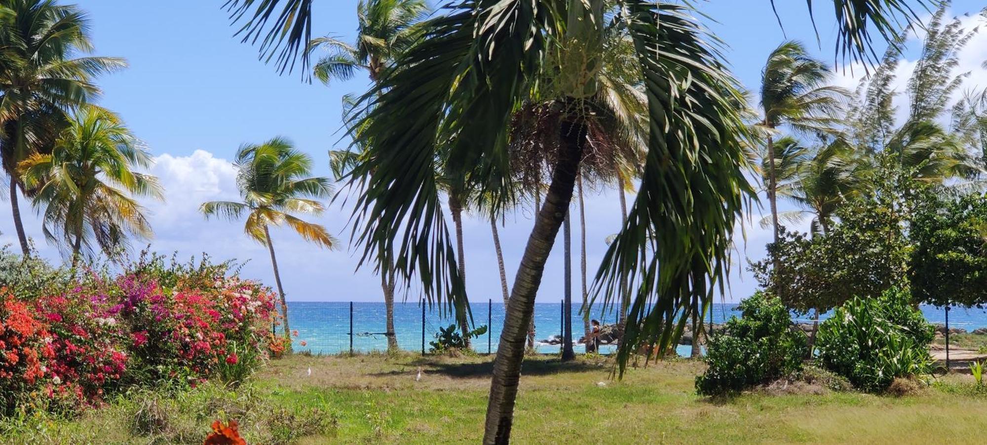 Parfum Des Iles - Vue Mer, Plage A 30M Et Piscine En Option Ле Госие Екстериор снимка